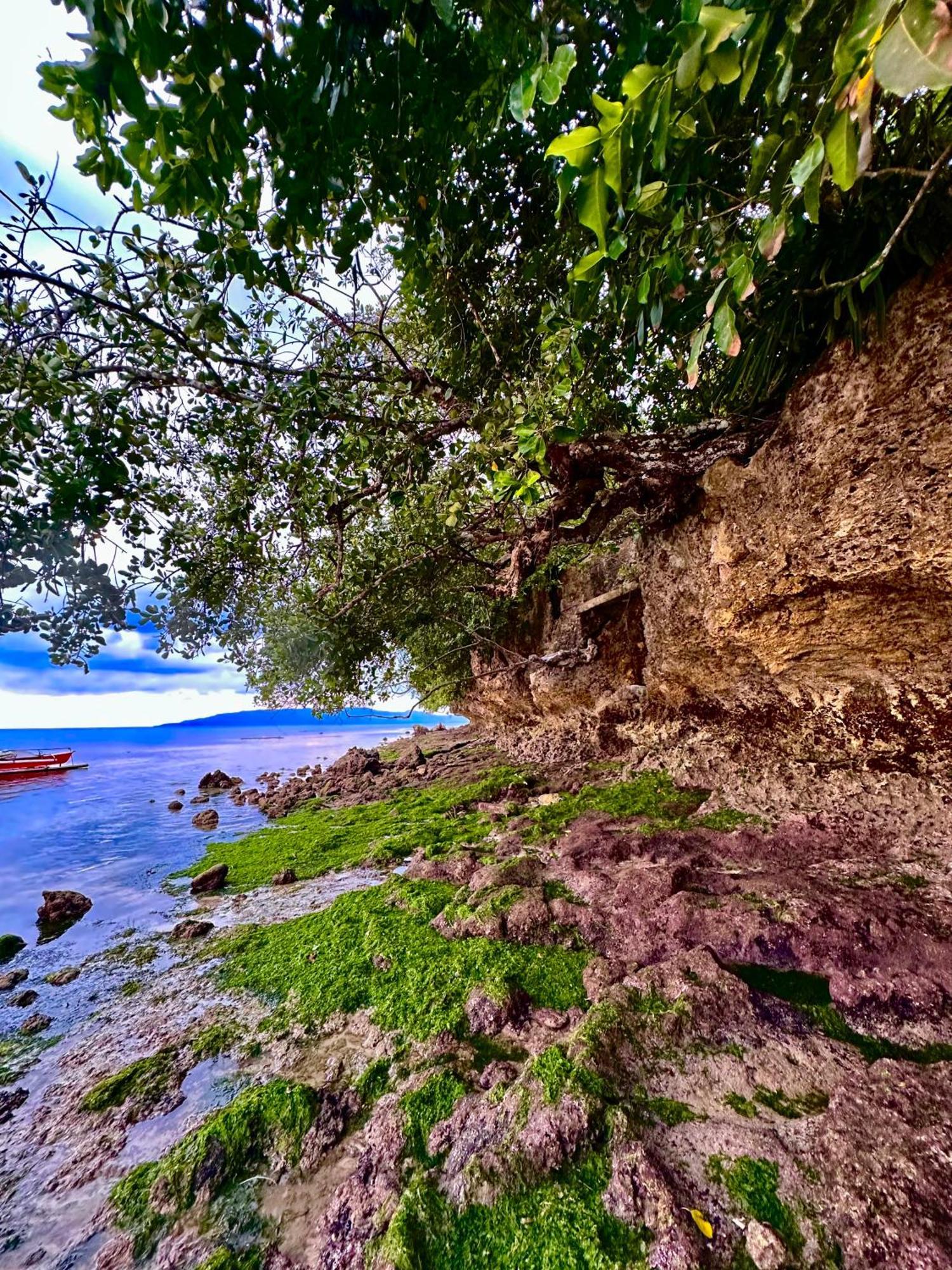 Sapphire Boutique Resort Panglao Exterior photo